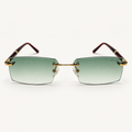 Lunettes de soleil mixtes Azuelos FUYUM C3, verres verts dégradés, vue de face.